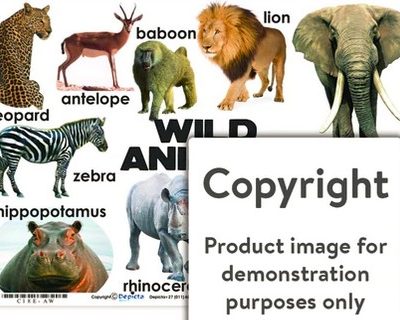 Wild Animal poster